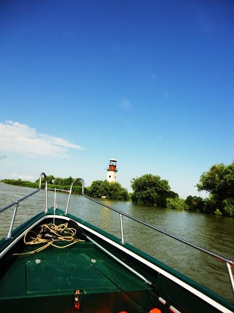 Doar ... NATURA - 3 - dsc09974.JPG